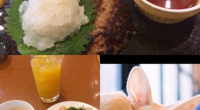 フォルクス 持ち帰り