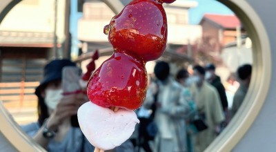 犬山城下町 犬山駅 甘味処 和カフェ