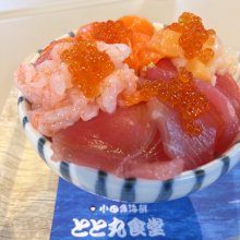 yachuuさんの写真