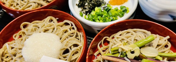 献上そば 羽根屋本店