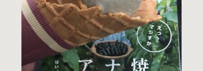 焼きナスのアイスの（有）安芸グループふぁーむ