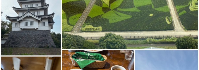 マスタードシード・電車食堂
