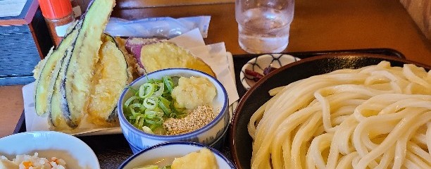 さぬきうどんのたぬき