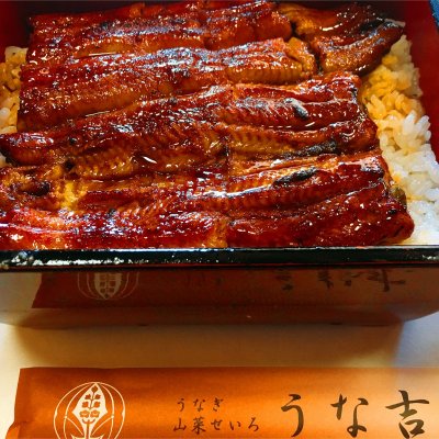 うな吉 川越 所沢 本川越 うなぎ どじょう