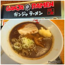 jun617motoiさんの写真