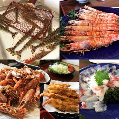 民宿しらい 刺身 魚介類 民宿しらい 刺身 魚介類