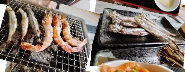 道の駅 むかわ四季の館
