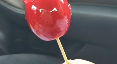 東武動物公園 アイスクリーム