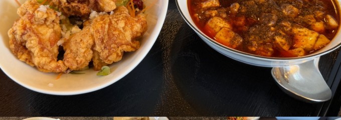 中国四川料理 楽山 本店