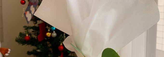 ココンキューブ