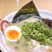 y_bambooさんの写真
