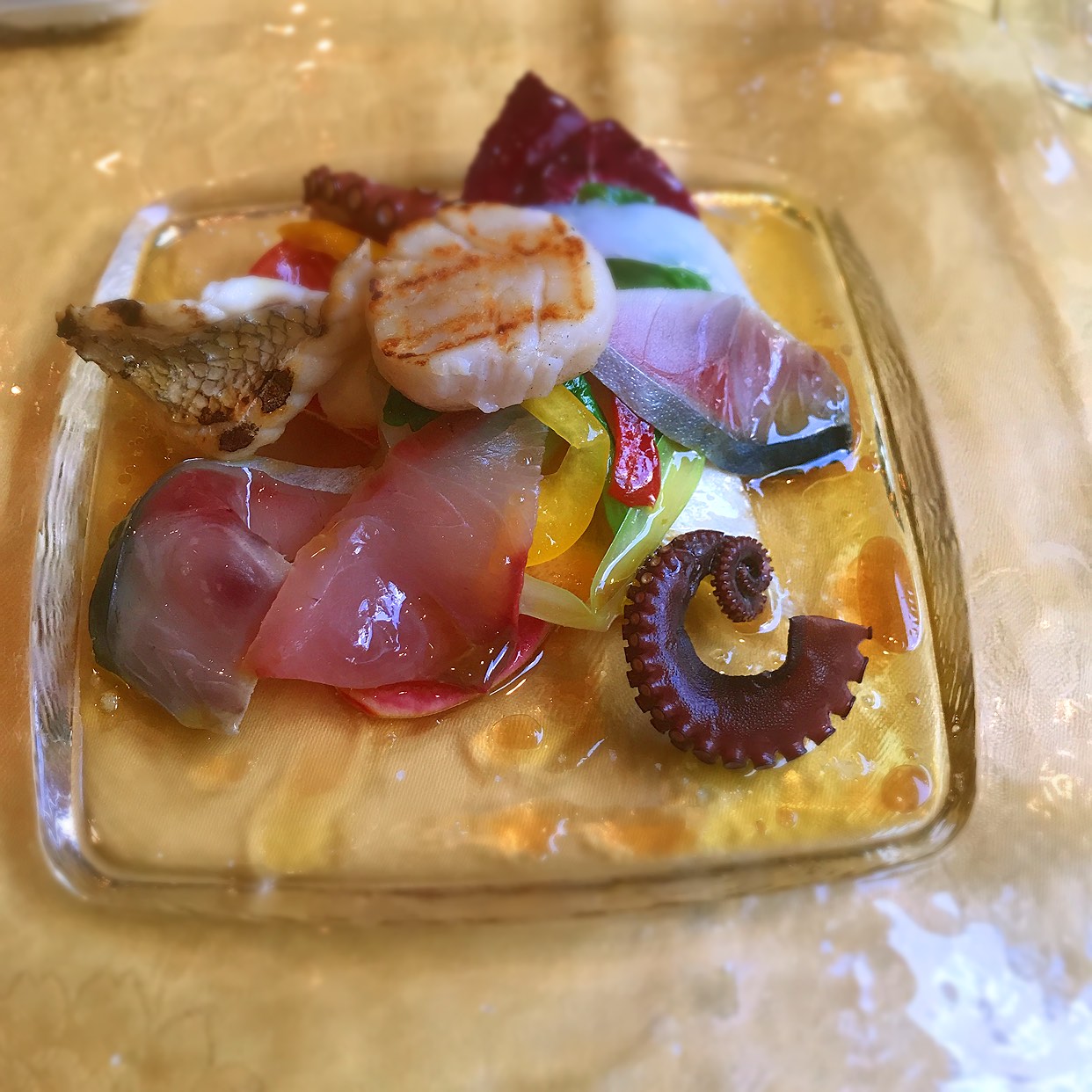 新品】ル ジャルダン ディッシュ 12 CM 新品】ル ジャルダン