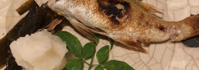 山文魚