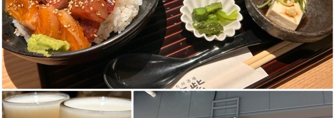 九州酒場 筑紫 枚方モール店