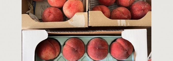牛牧直売所 あんしん市場