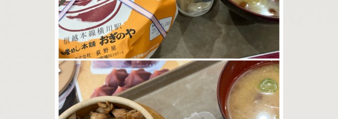 峠の釜めし おぎのや ドライブイン横川店（国道沿い）