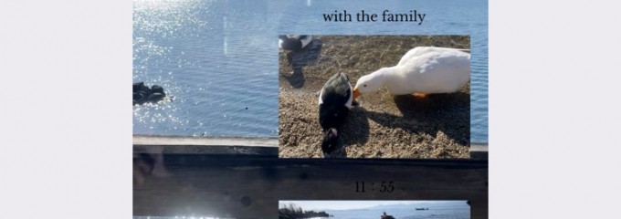 シャーレ水ヶ浜