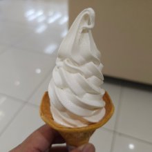 t_rex24さんの写真