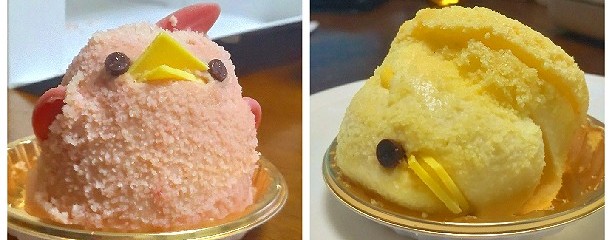 ぴよりん