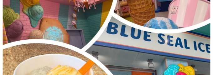 ブルーシール 宮古島パイナガマ店