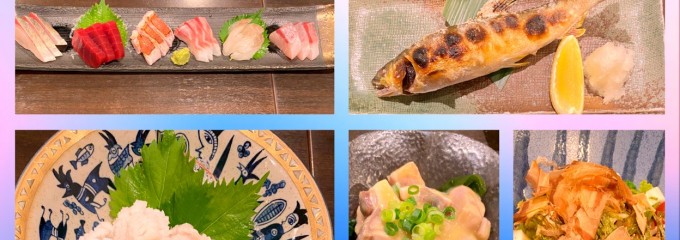 魚料理と酒 白（はく）