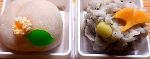 小岩 岡埜栄泉