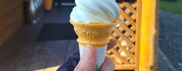 よんちょ～めソフトショップ