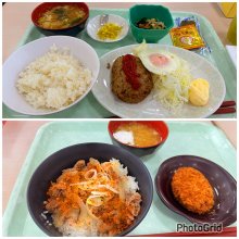 jun617motoiさんの写真