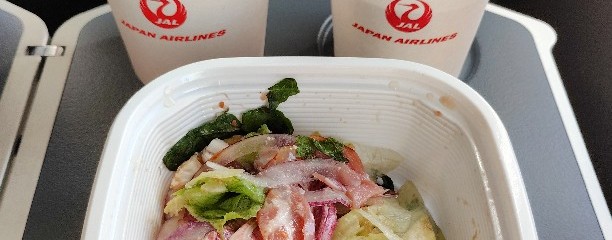 JALダイヤモンド・プレミアラウンジ（北ウィング）