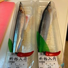 jshinchaさんの写真