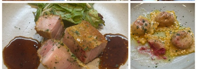 OSTERIA celery