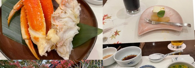 梅の花 さかい利晶の杜店