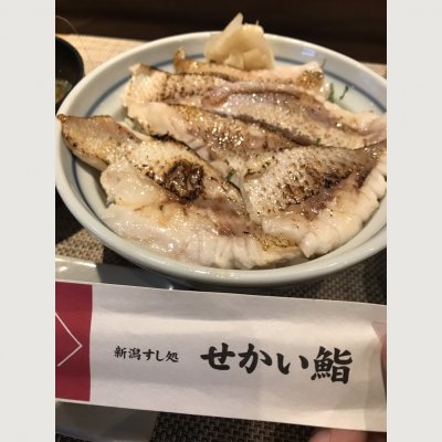 せかい鮨 新潟市 新潟 寿司