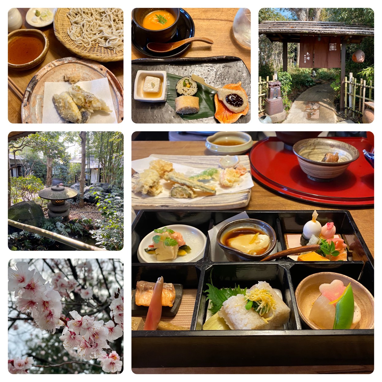 九つ井 大和 店