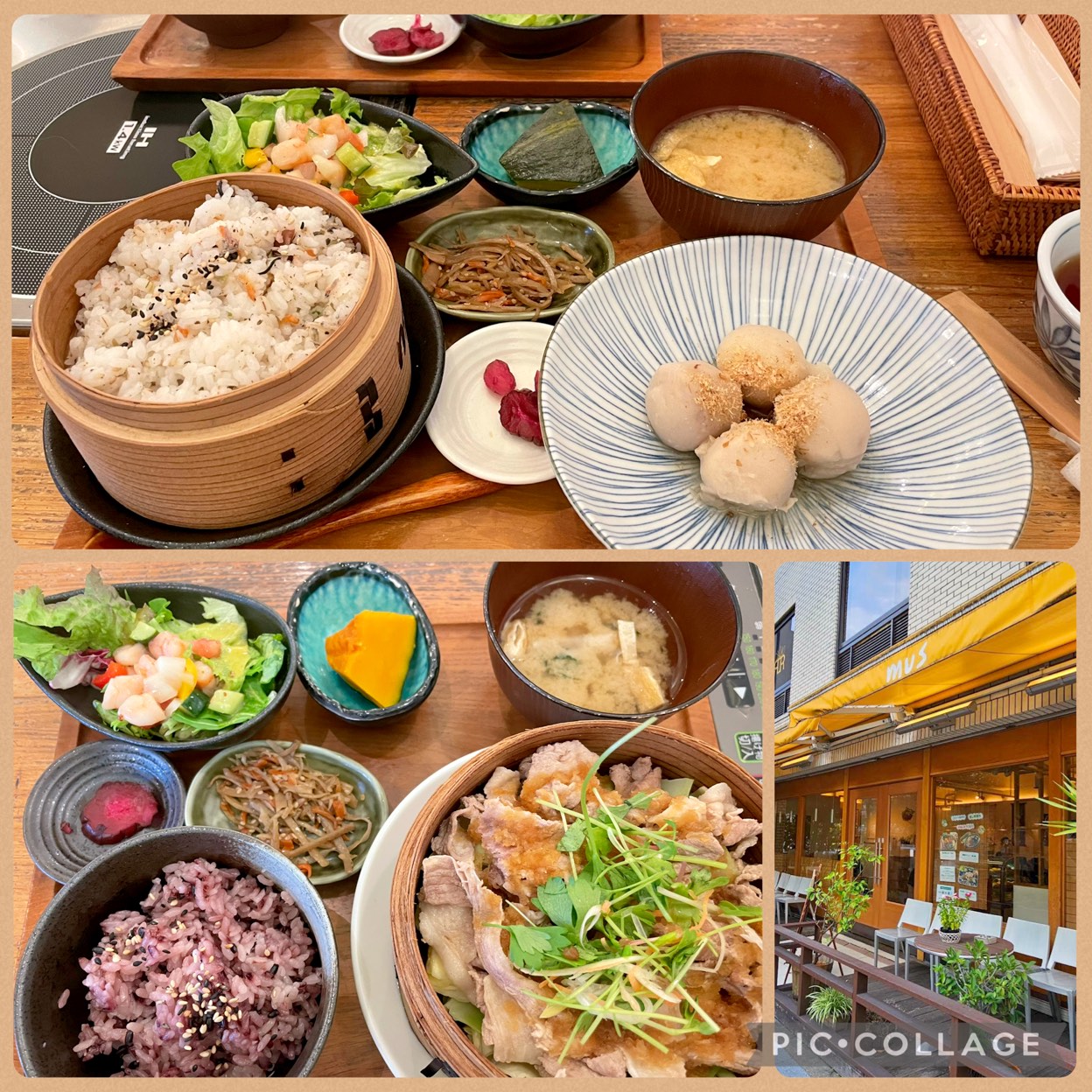 蒸し 料理 専門 店 mus