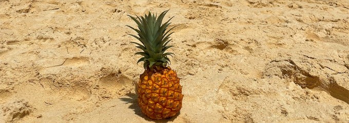 宮古島東急ホテル＆リゾーツ