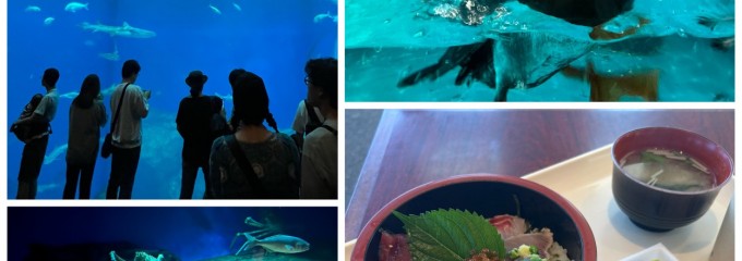 アクアワールド茨城県大洗水族館