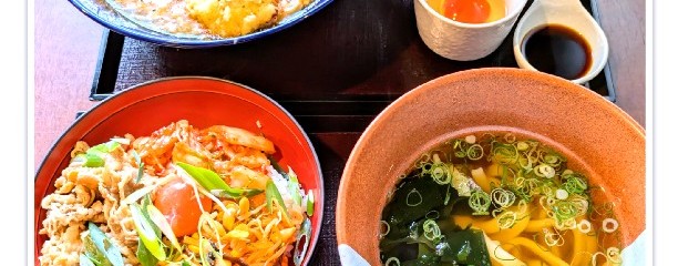 打ちたてうどん だし屋 東香里本店