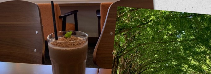 並木カフェ メタセコイア