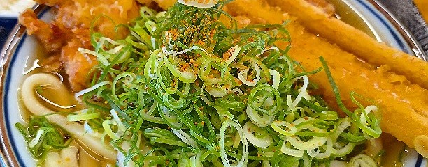 讃岐うどんエブリデイ 新堀川本店