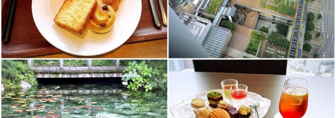 名もなき池（通称：モネの池）
