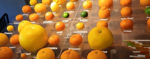 湯河原惣湯 Books and Retreat