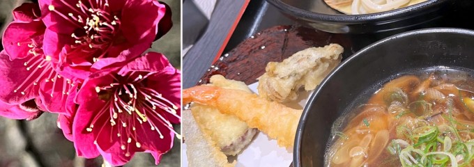 府中市立郷土の森公園
