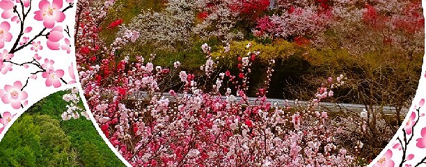 高知県仁淀川町