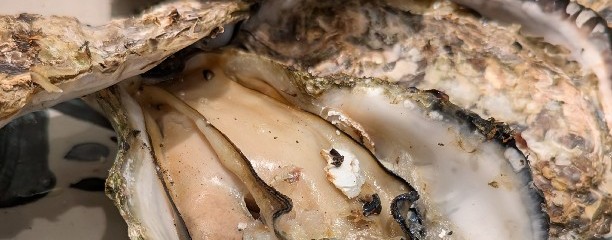 焼がきの はやし