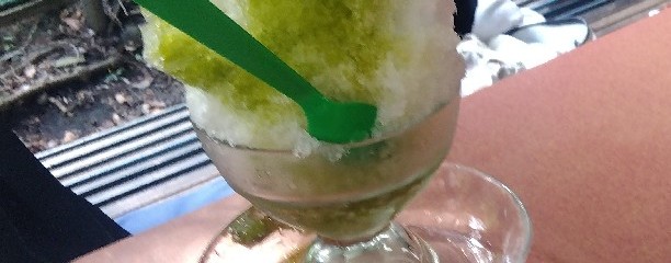 石神井公園