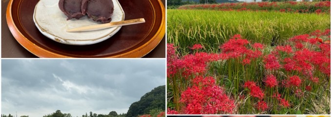 中将堂本舗
