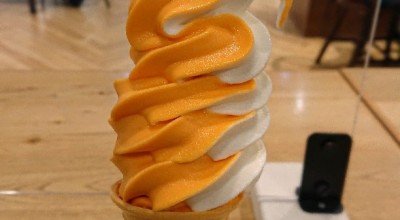 アリオ橋本 丼もの