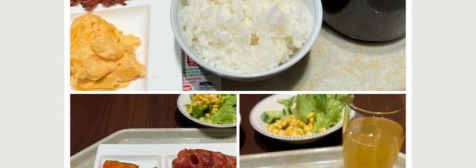 ホテルメトロポリタン 高崎