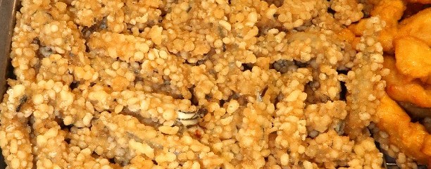 フェリーさんふらわあ　大阪ー志布志航路